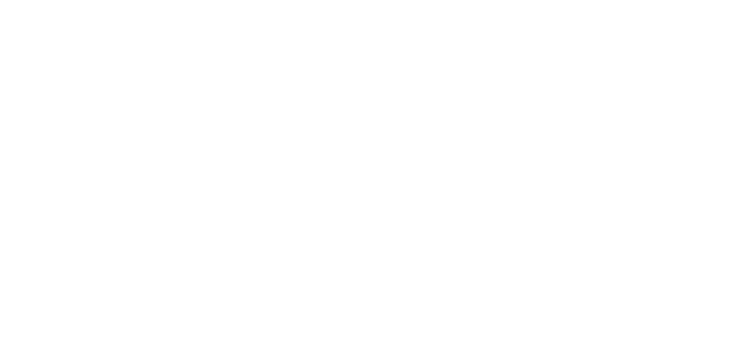 Logo Palva